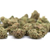 Guava Tartz THCa Flower Full-Term Hemp Flower with light green and purple buds